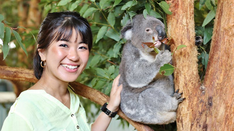Billabong Zoo: Koala and Wildlife Park and ZOOsafari Experience
