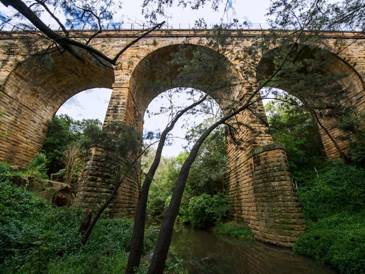 Front view of the viaduct covered in bushes