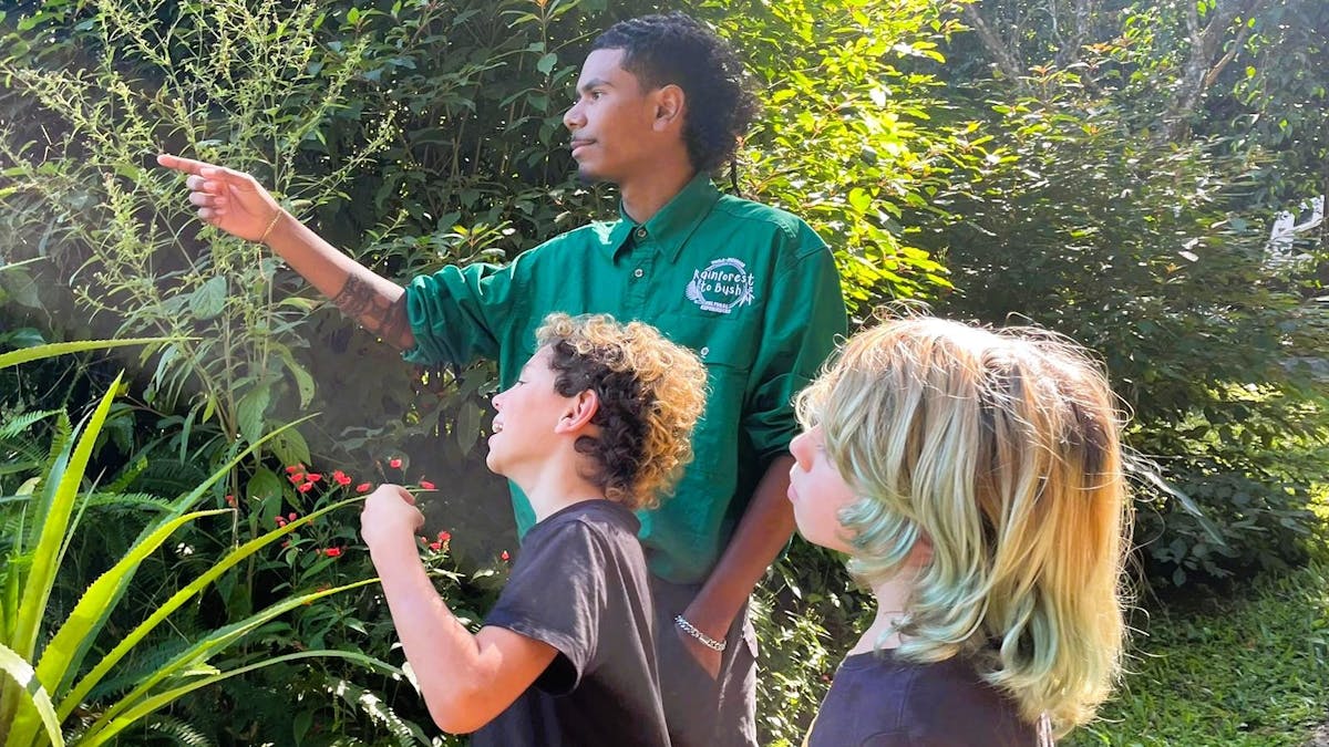 Guide explains local rainforest plants