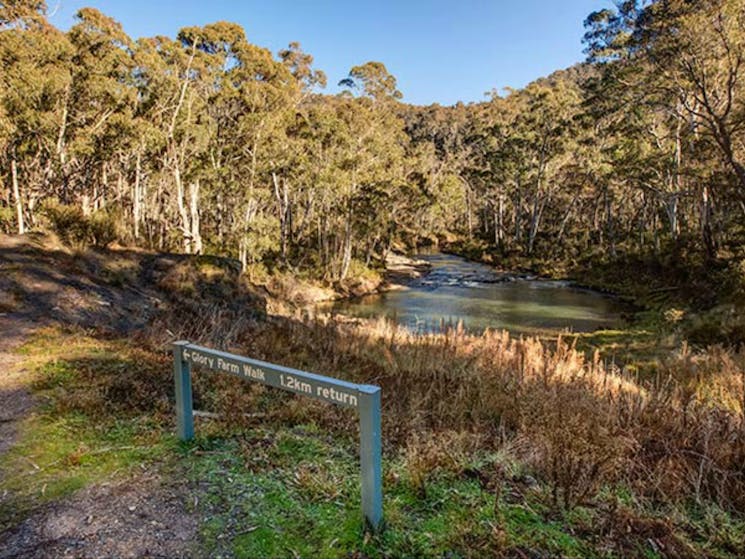 Yarrangobilly Caves – Glory Farm walk