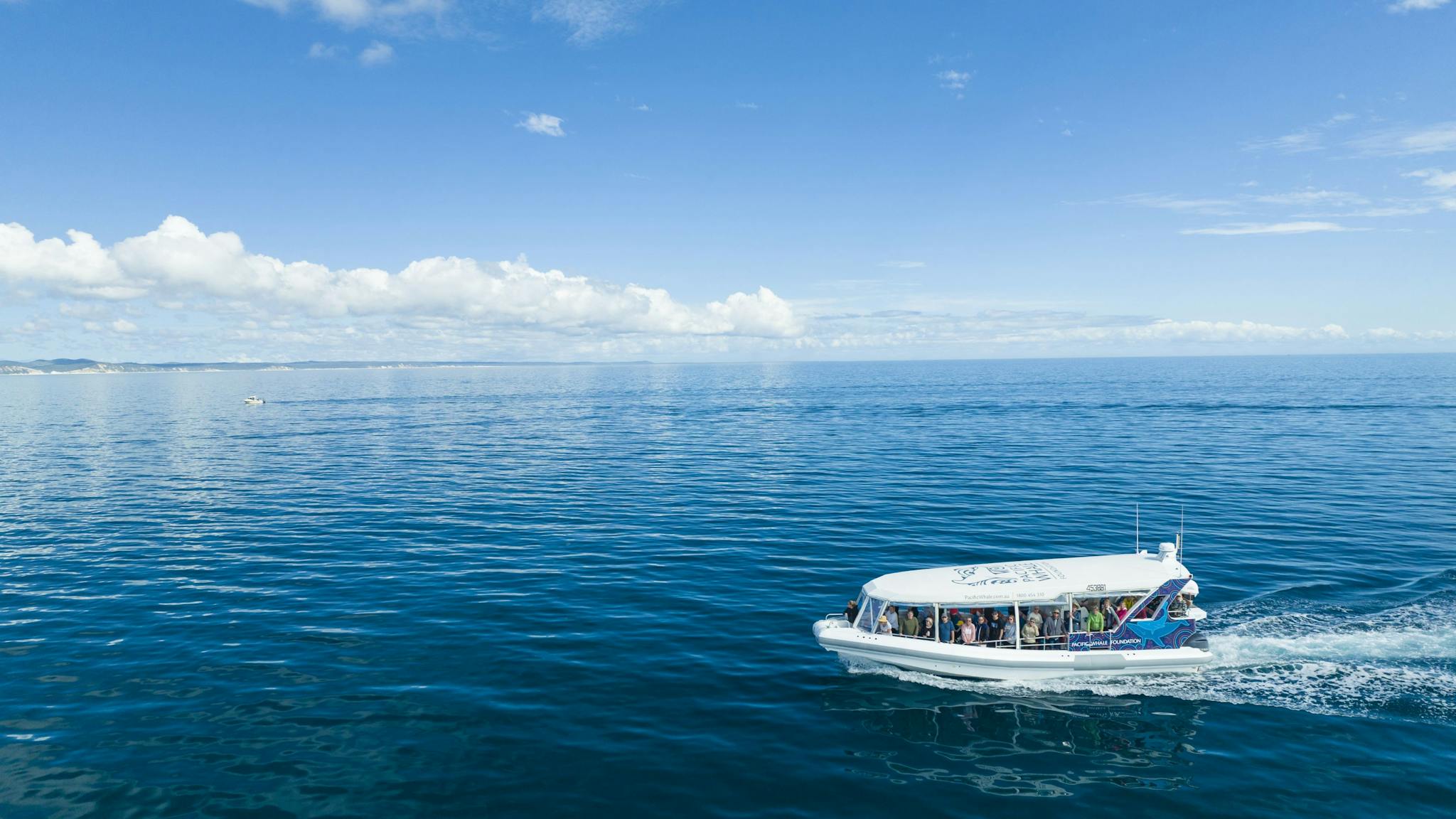 Ocean Defender Hervey Bay Nature Cruise Ocean Defender Hervey Bay Nature Cruise