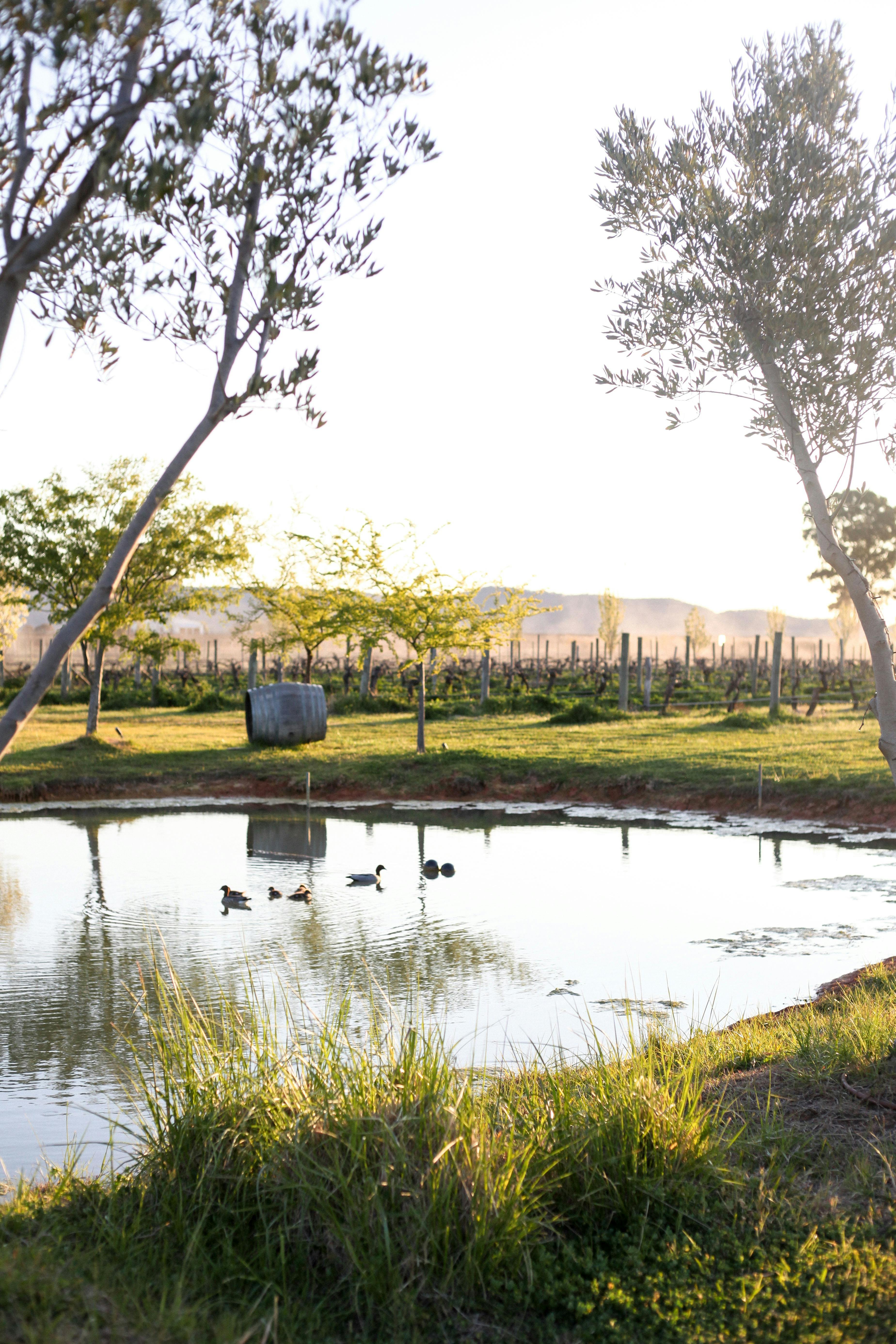 Yeates Wines Cellar Door Mudgee NSW