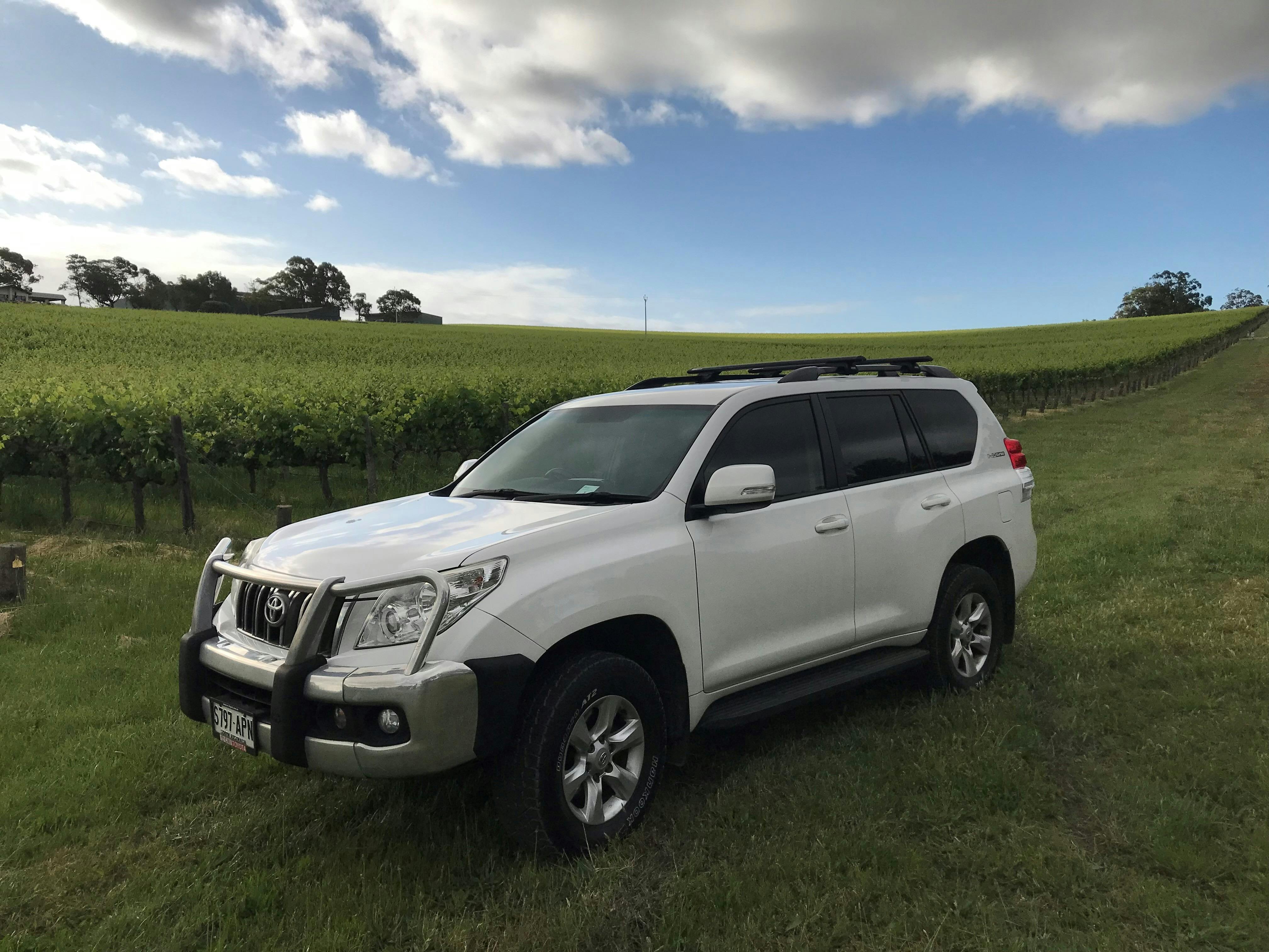 Amongst the vines - McLaren Vale