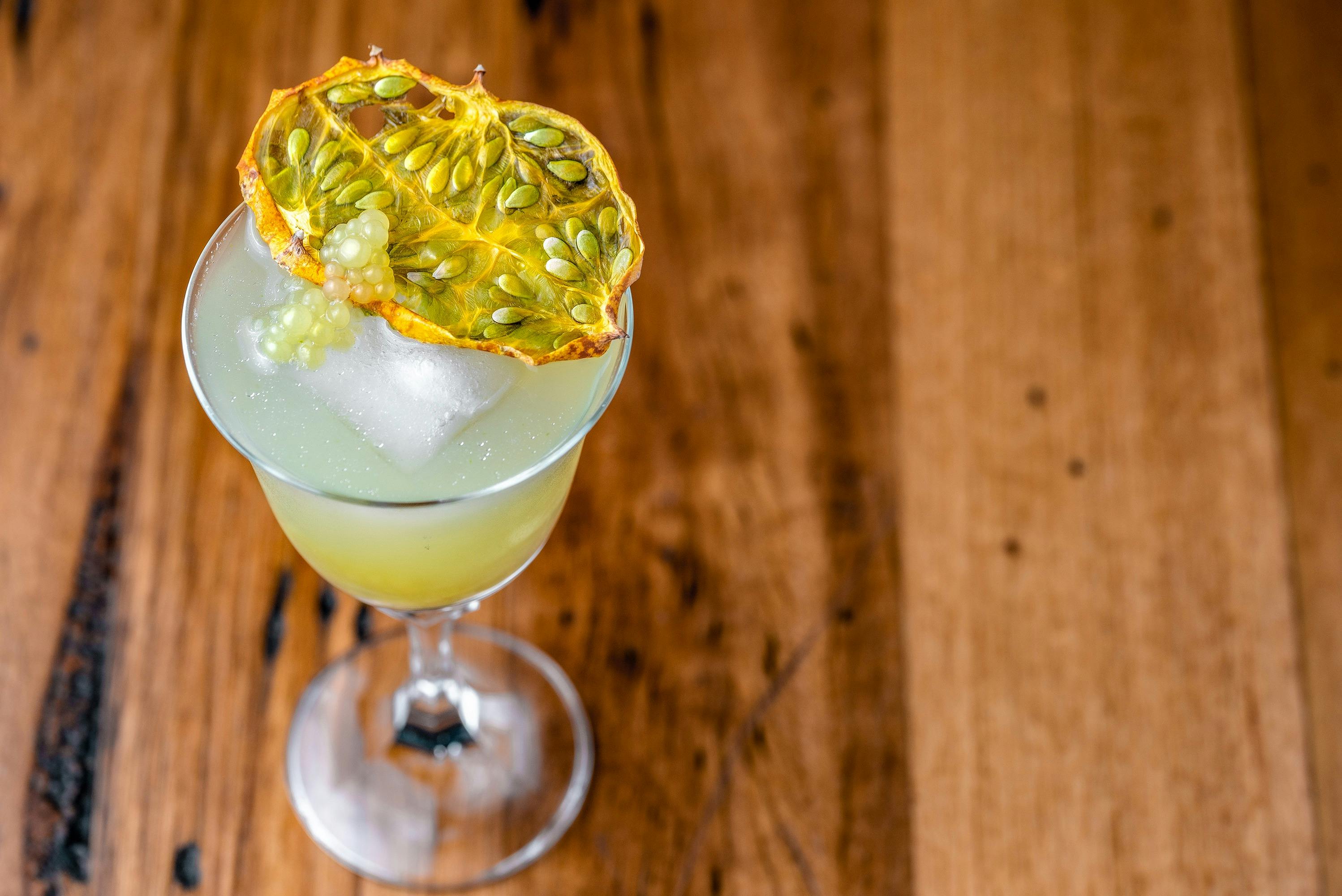 Cocktail in bell coupe, garnished with dried African horned cucumber slice, square block of ice