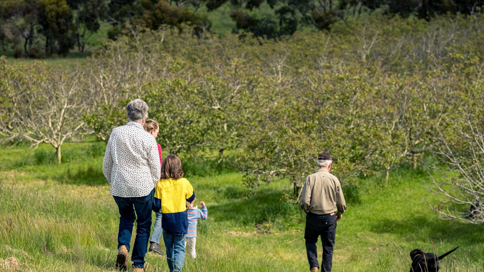 Walking to see the walnut orchard.