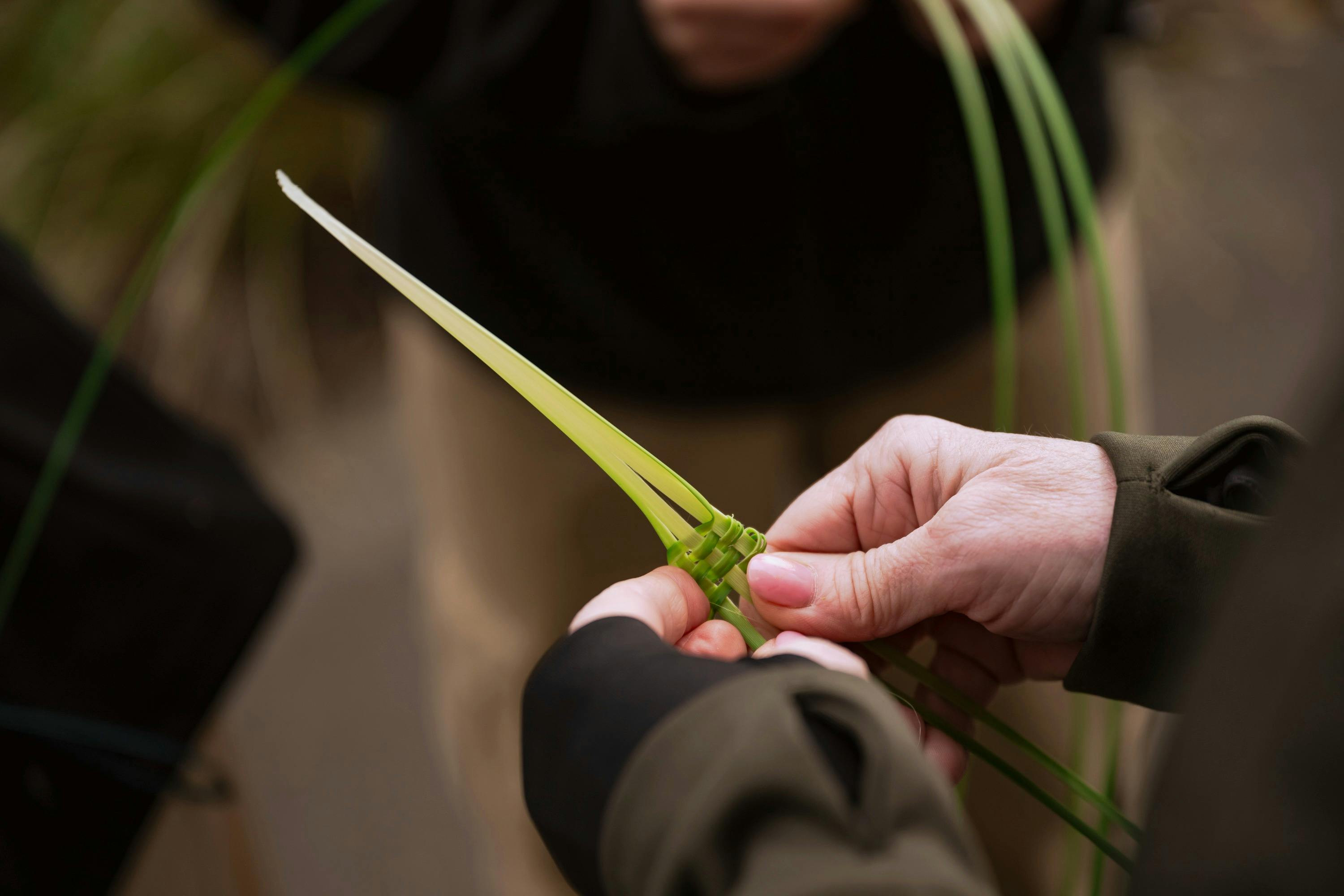 Aboriginal Cultural Tours