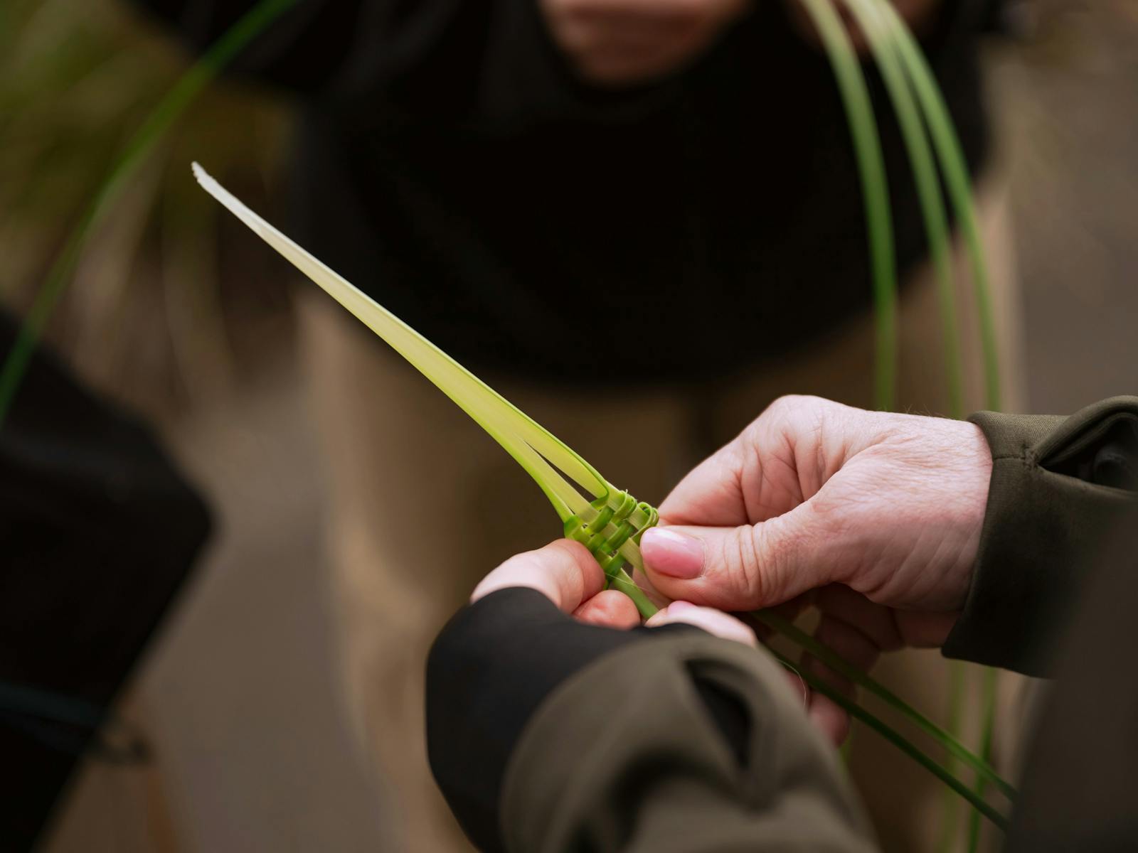 Aboriginal Cultural Tours