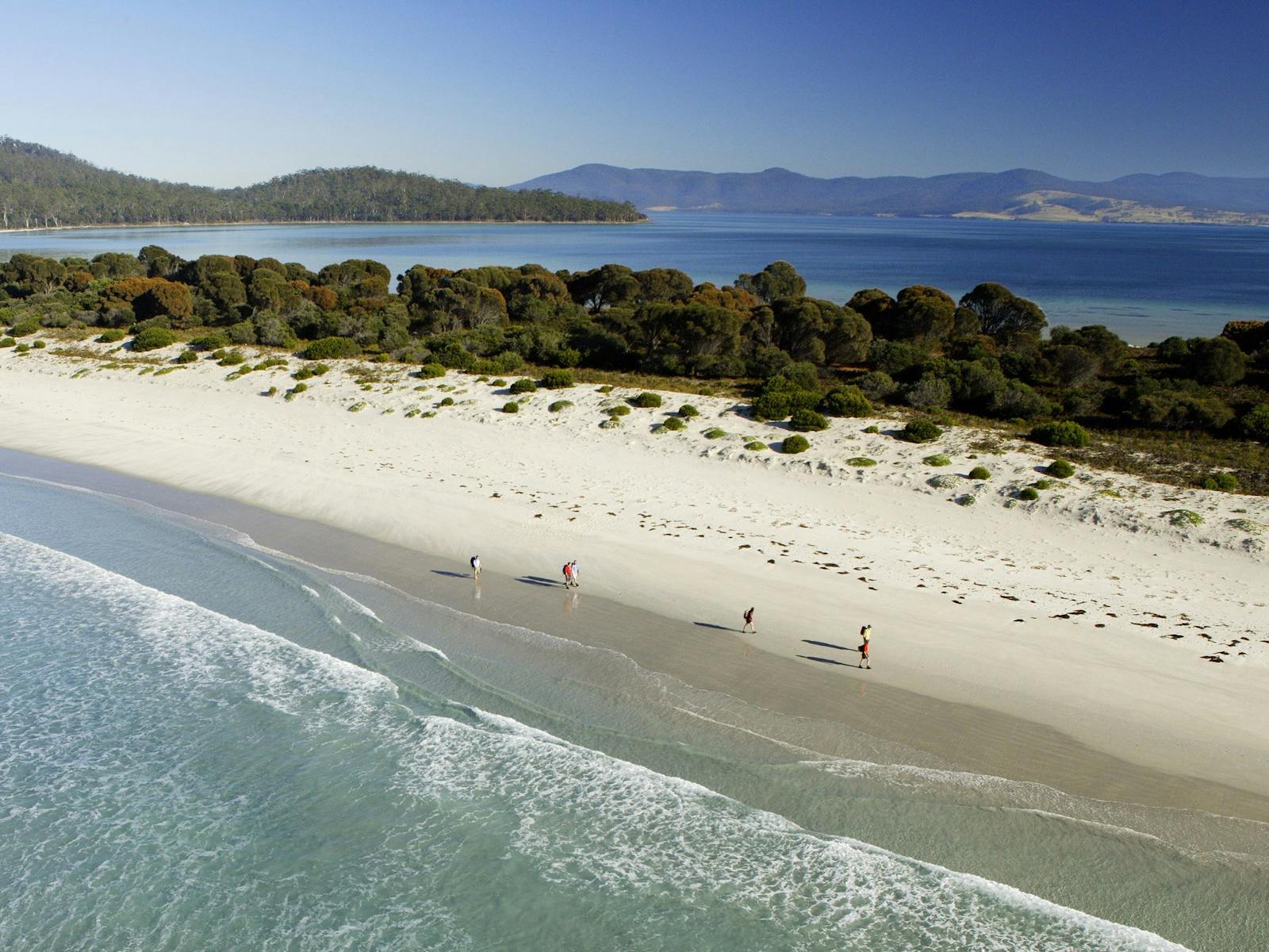 Walking along the Isthmus on The Maria Island Walk