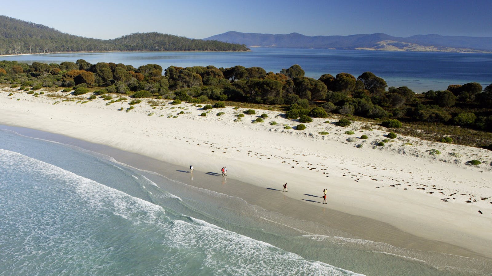 Walking along the Isthmus on The Maria Island Walk