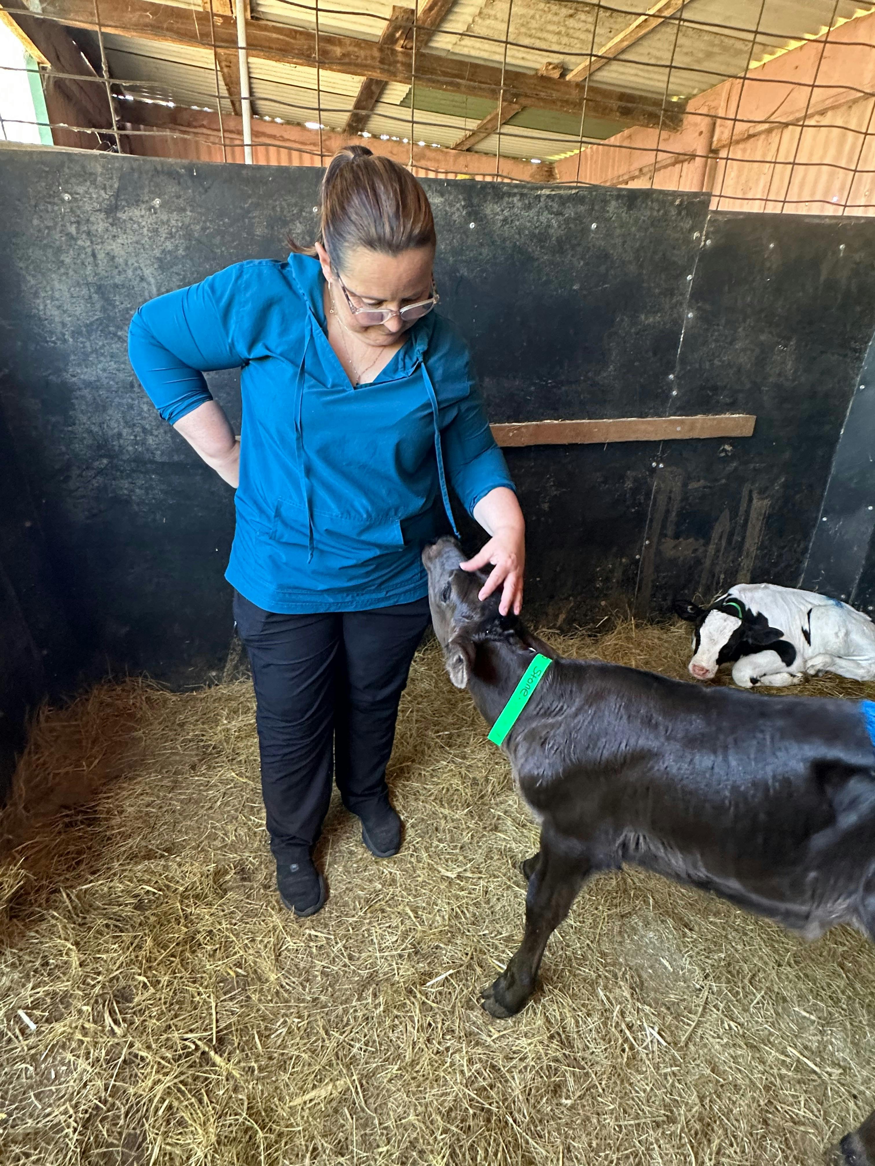 Just for the love of moos