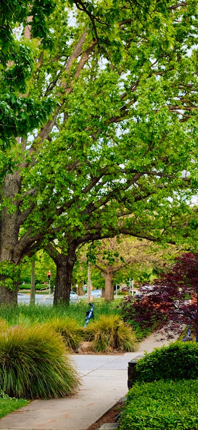 Forrest Hotel and Apartments sign