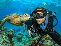 Diver interacts with sea turtle