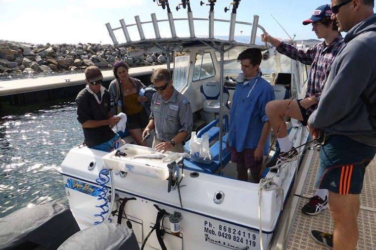 Bay Fishing Full Day Tour