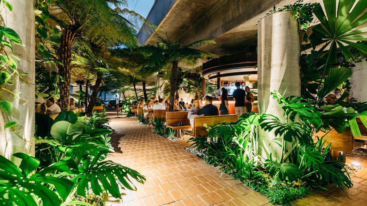 Lush Jungle at Southside