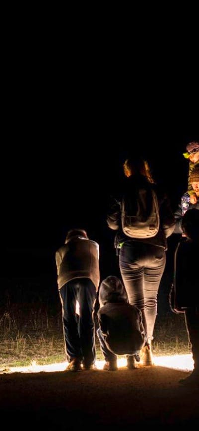 Group of people at night