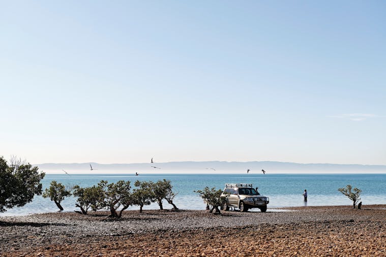 Camping at Point Lowly Fitzgerald Bay