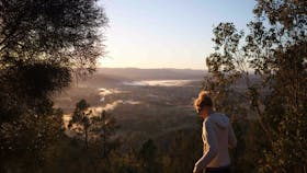 Mount Arthur Reserve