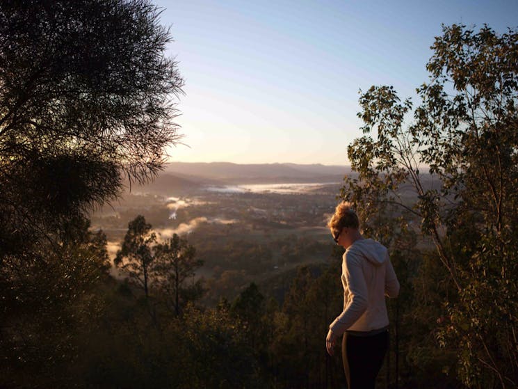 Mount Arthur Reserve