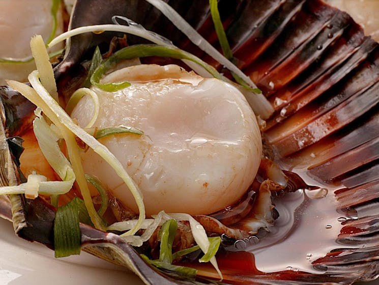 Golden Century Seafood Restaurant | Sydney, Australia - Official Travel