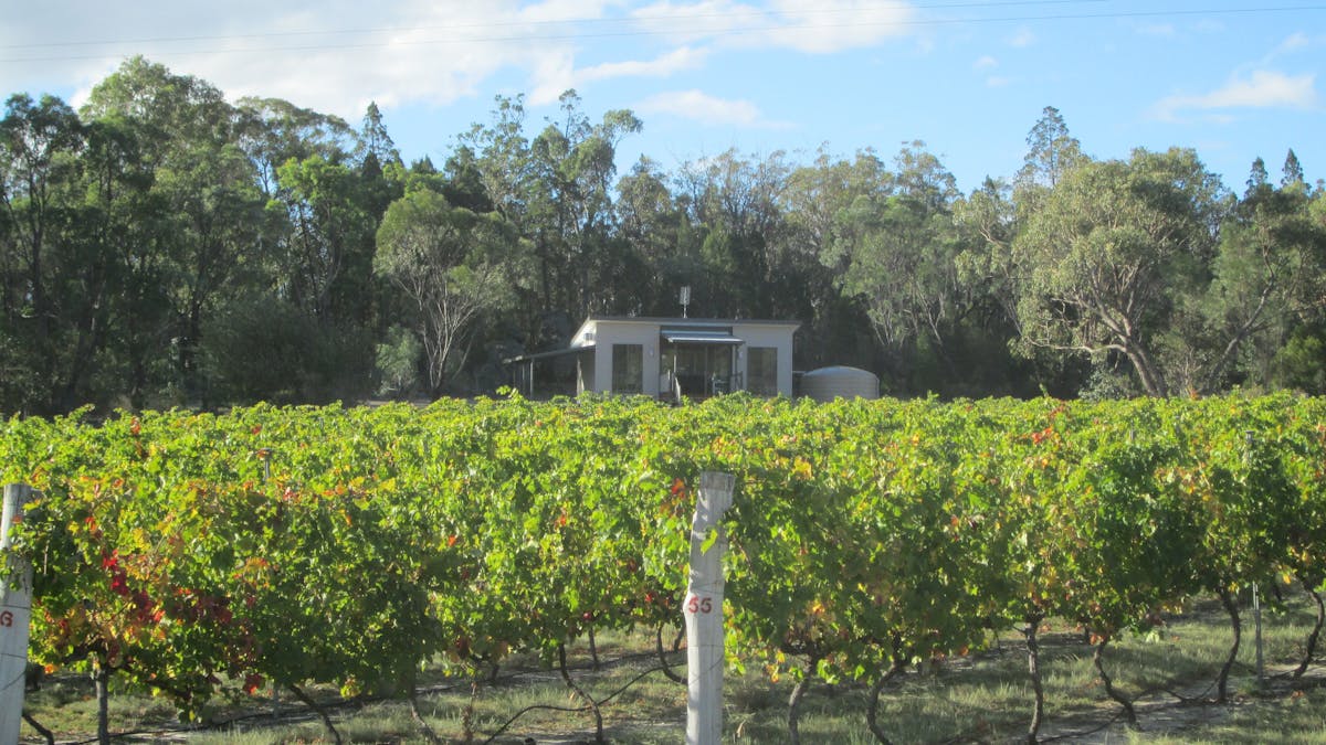 Shiraz cabin from vineyard