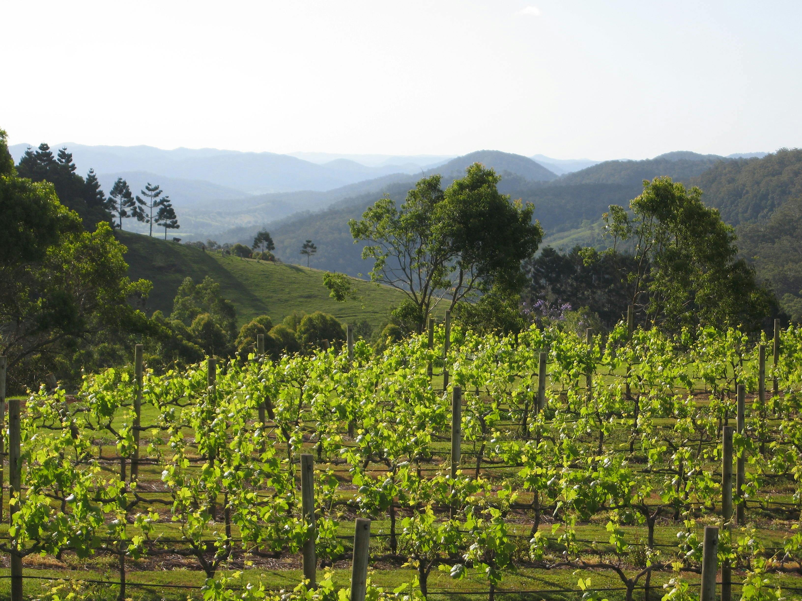 Taste of the Hinterland