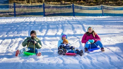 A family of four smiles as they race down a snowy slope on colourful toboggans