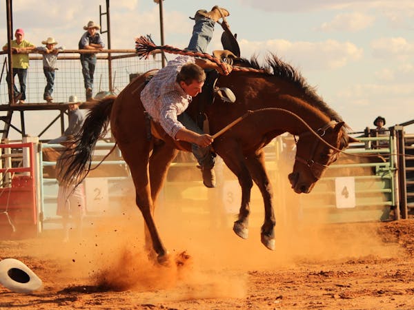 Station Buck Jump Station Buck Jump