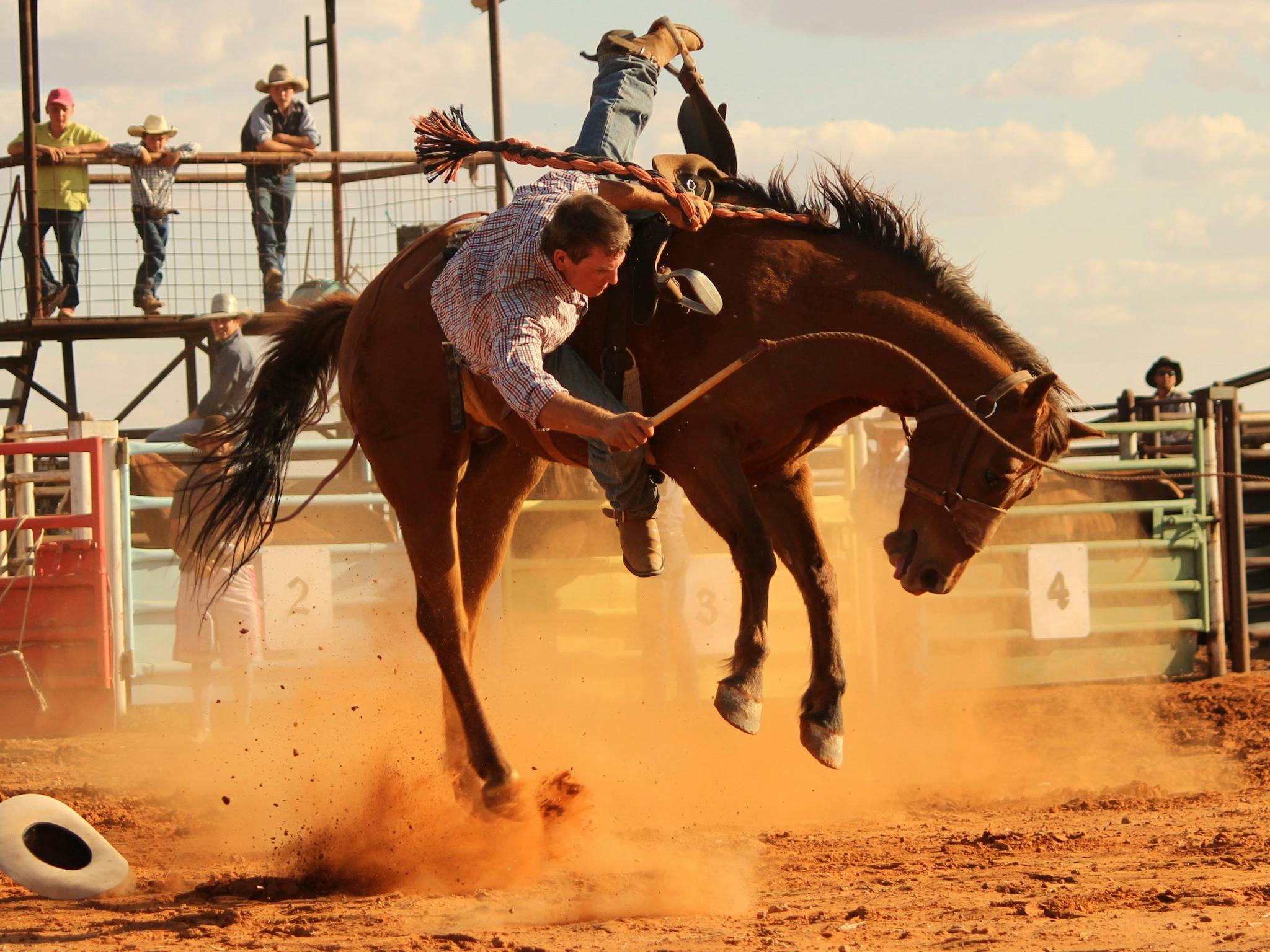 Station Buck Jump Station Buck Jump