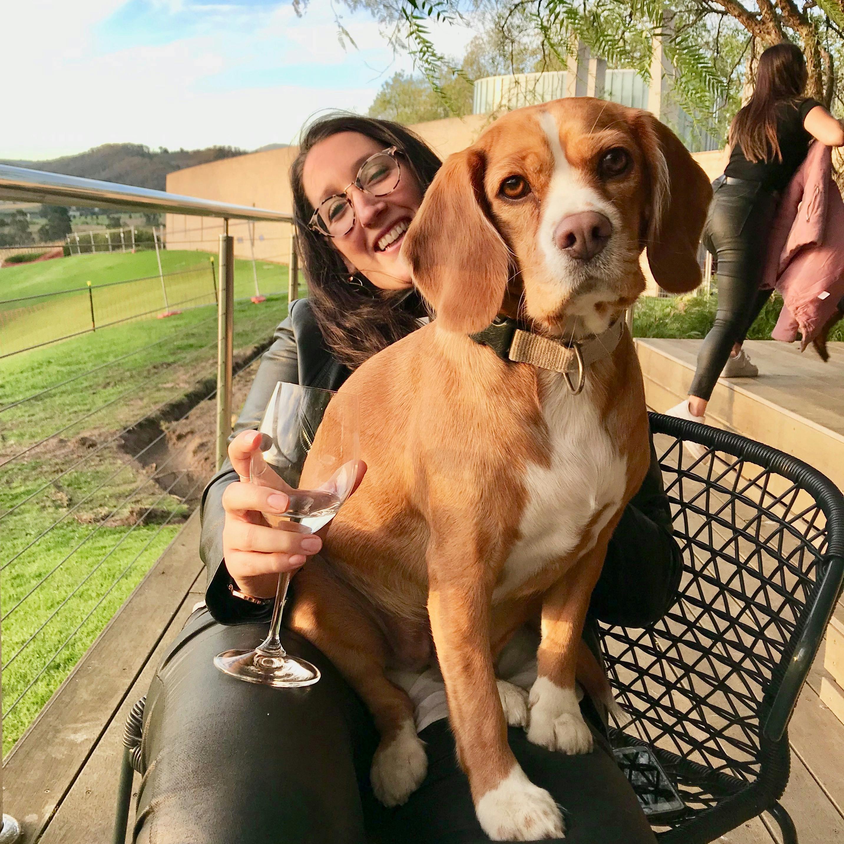 The Pooches and Pinot Half Day tour