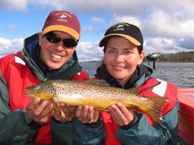 Fly fishing for wild Tasmanian brown trout.