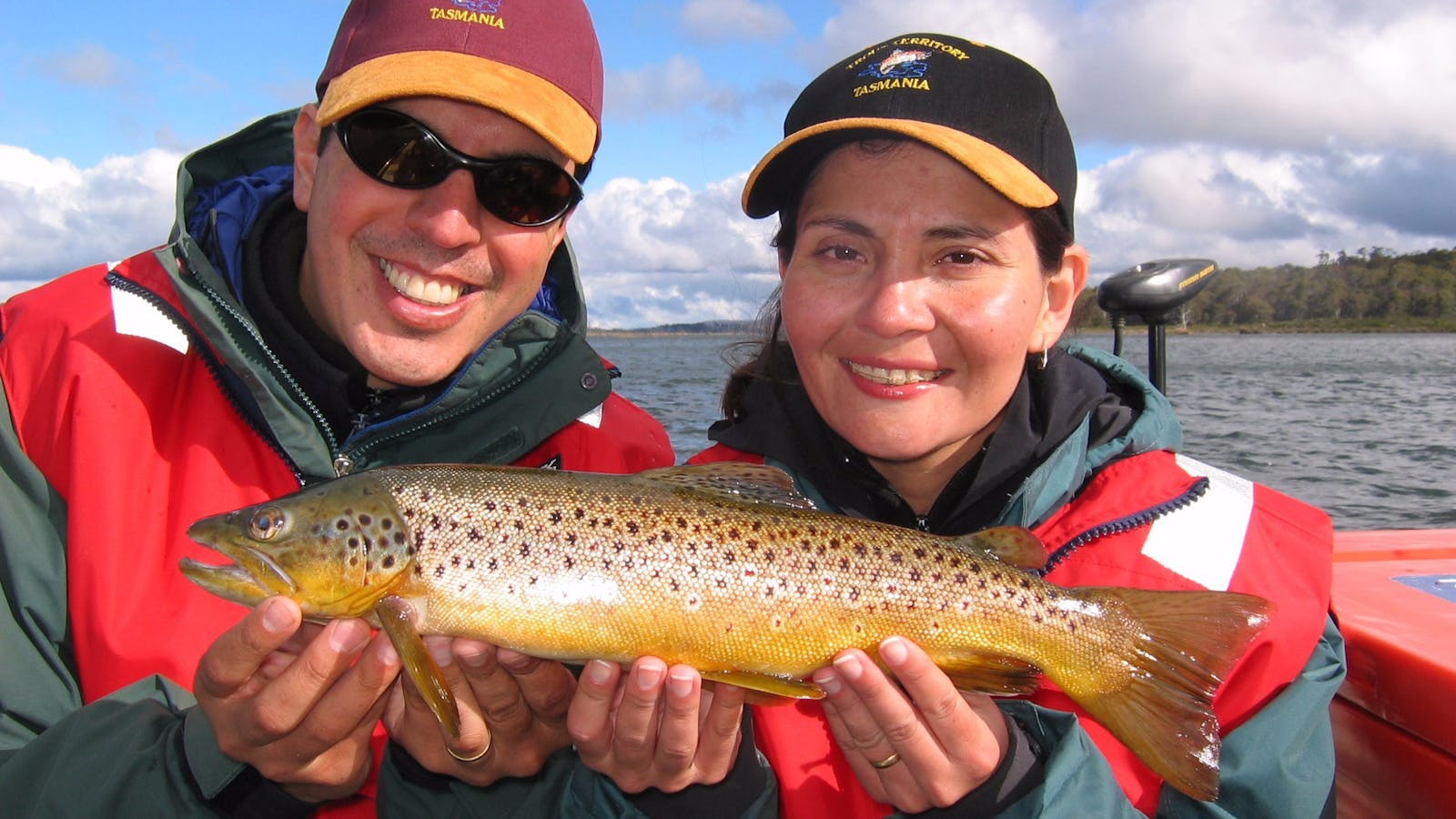 Fly fishing for wild Tasmanian brown trout.