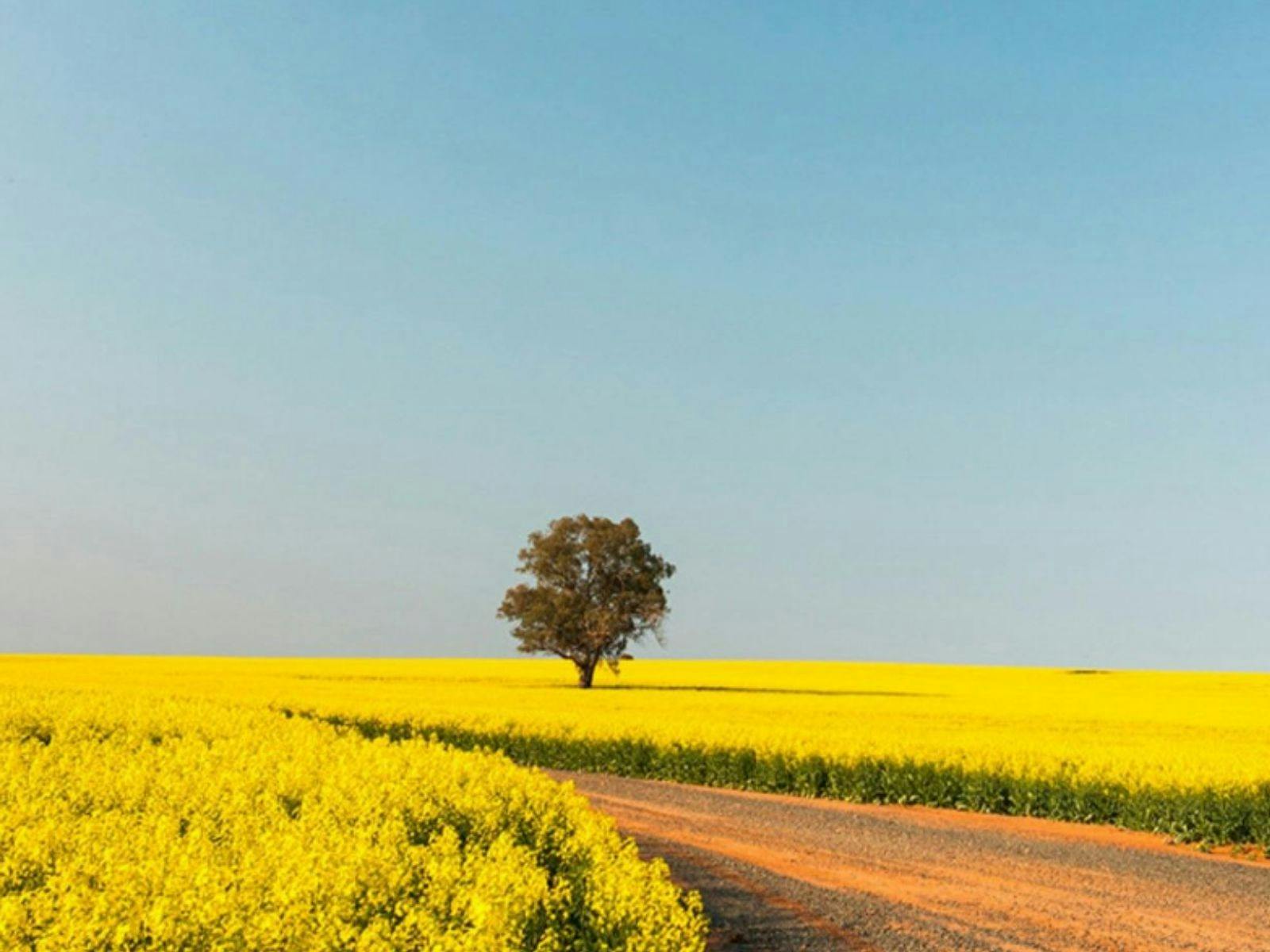 Visit NSW