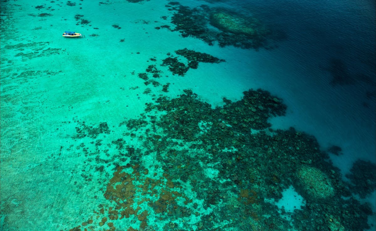 Ocean Safari Great Barrier Reef Tour