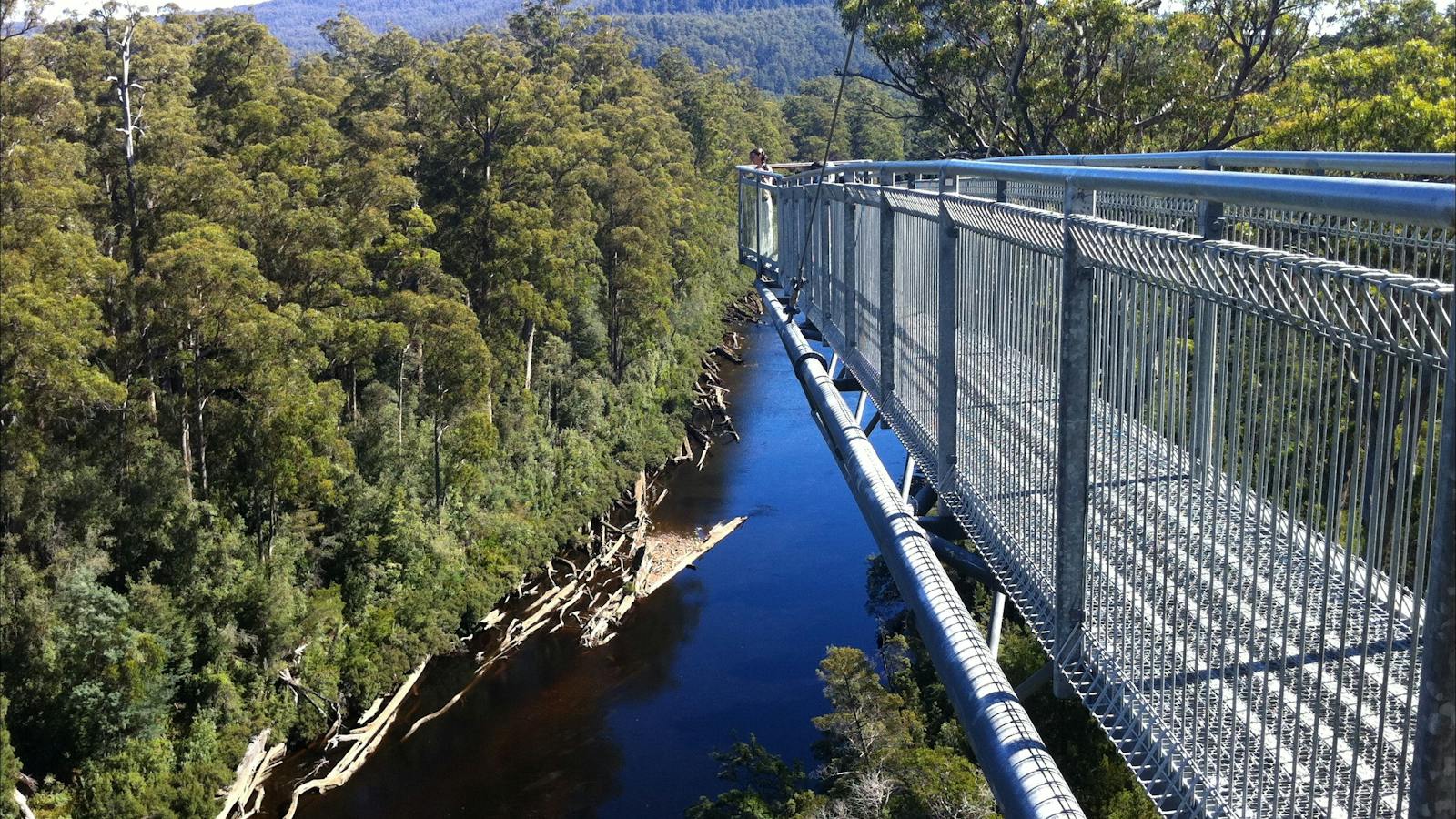 View of Tahune Airwalk