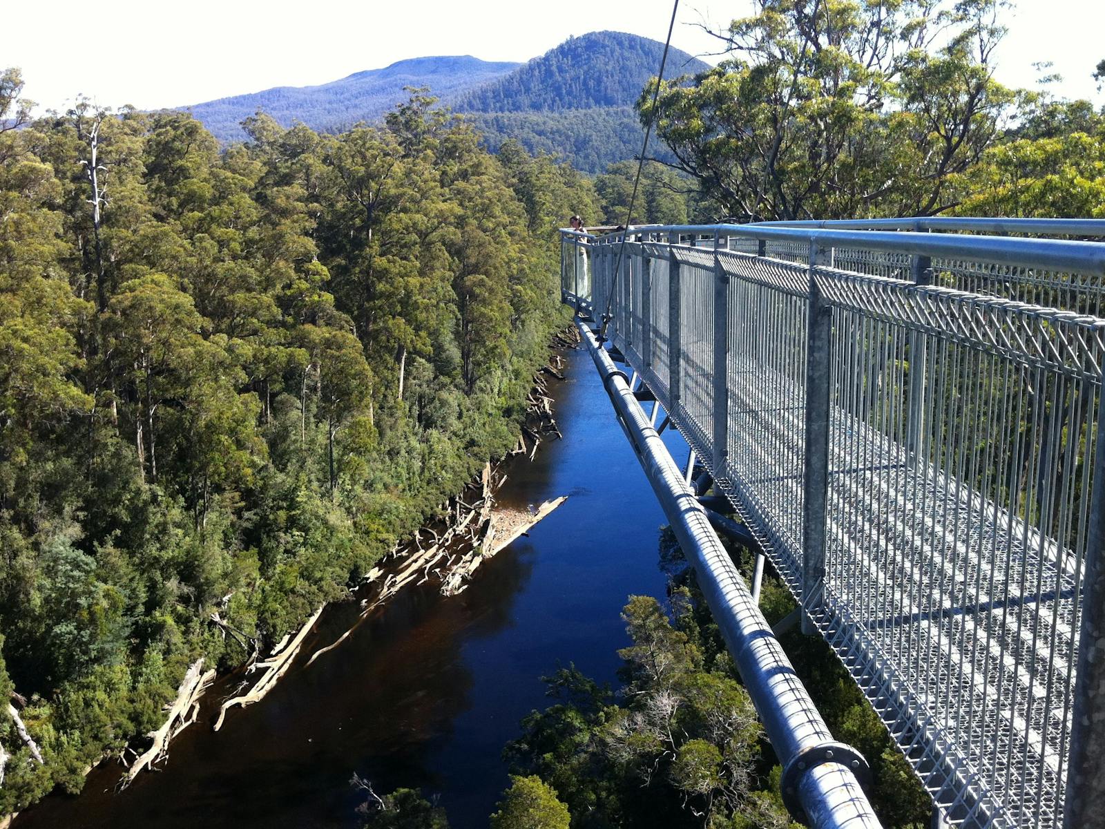 View of Tahune Airwalk