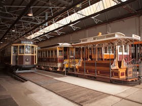 Explore the rich history of Melbourne's iconic trams at the Melbourne Tram Museum