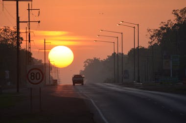 Wildlife and Environments of the Top End