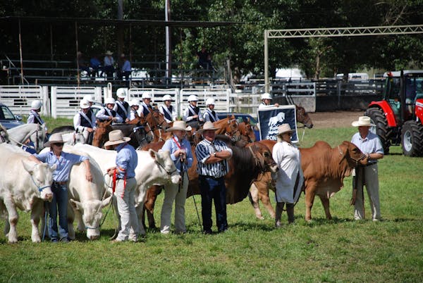 Walcha Agricultural Show