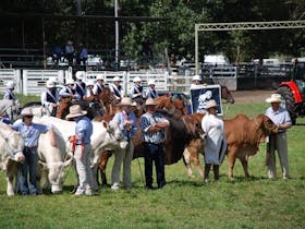 Walcha Agricultural Show Cover Image