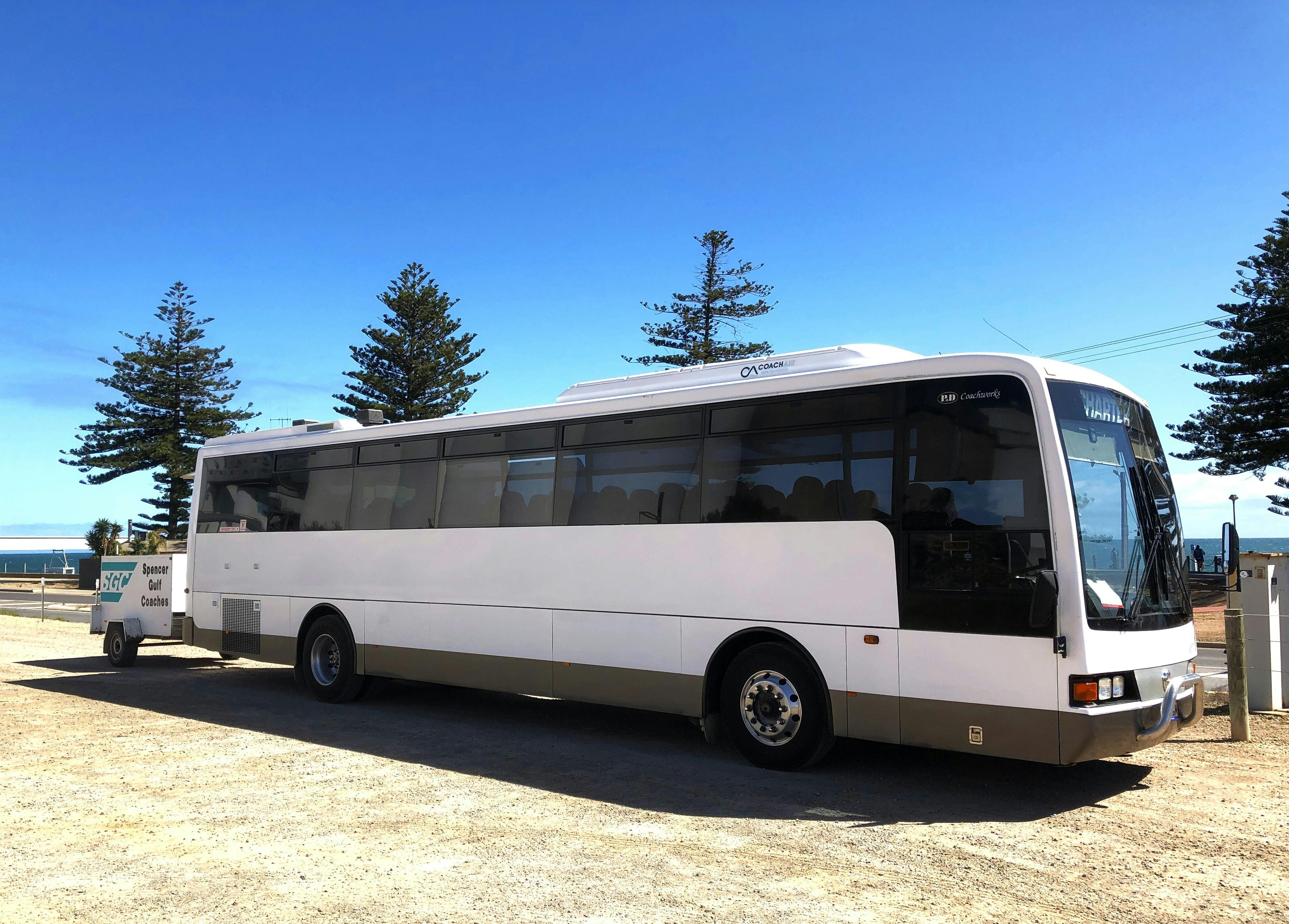 Full sized coach in front of pine trees