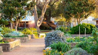 Ray Morton Sensory Park