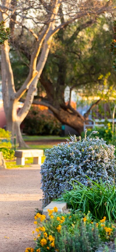 Ray Morton Sensory Park