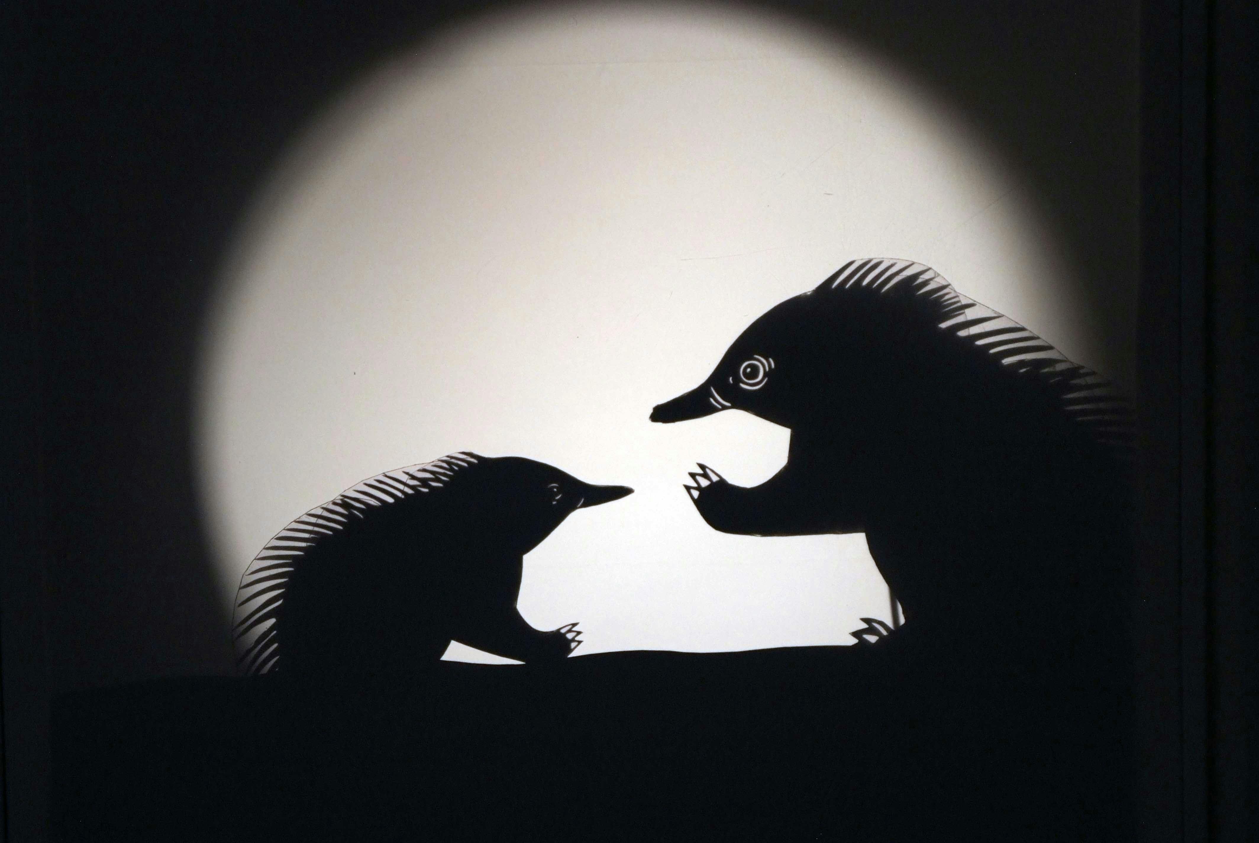 Two shadow puppets of echidnas facing each other