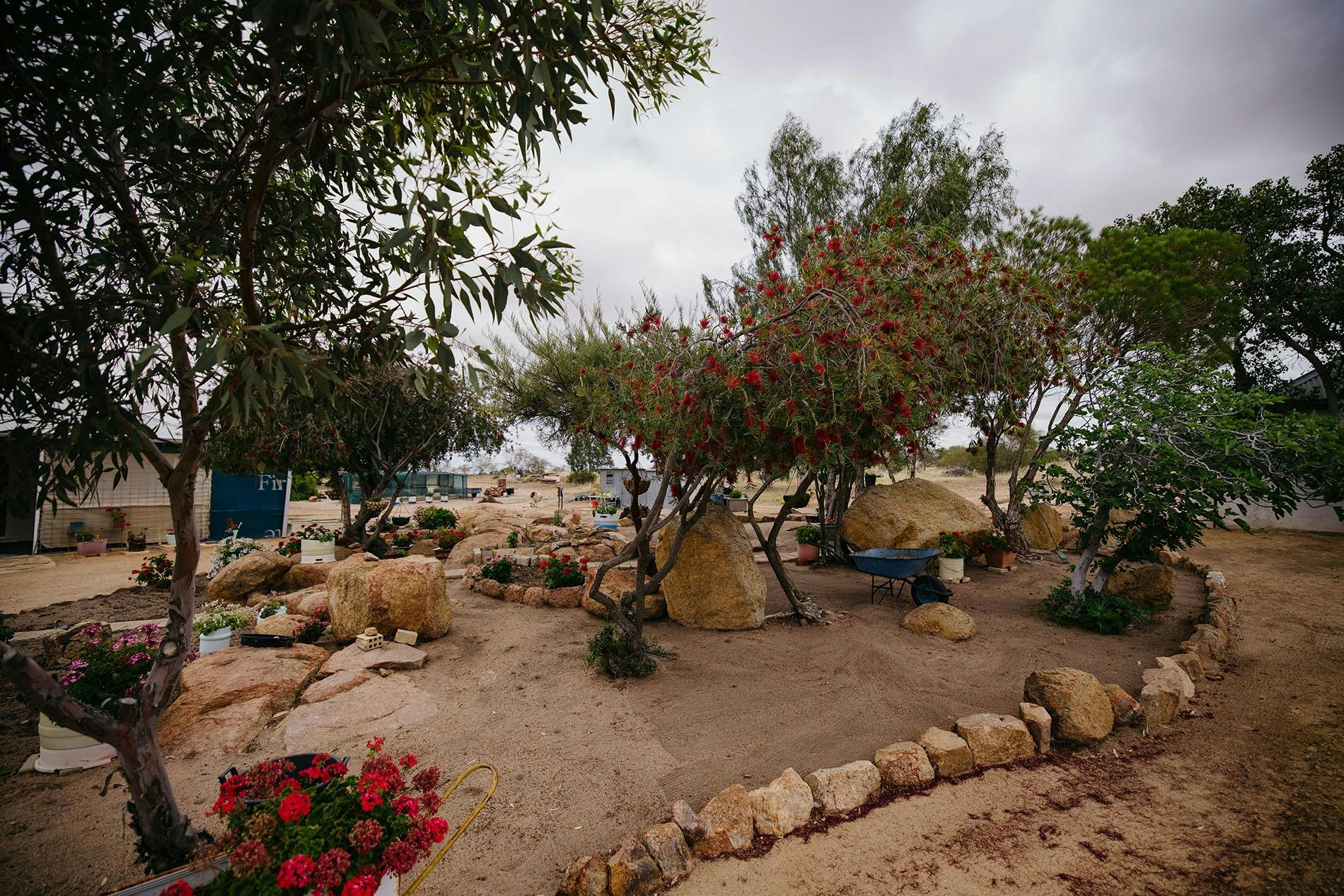 Gardens of Mangowine Homestead