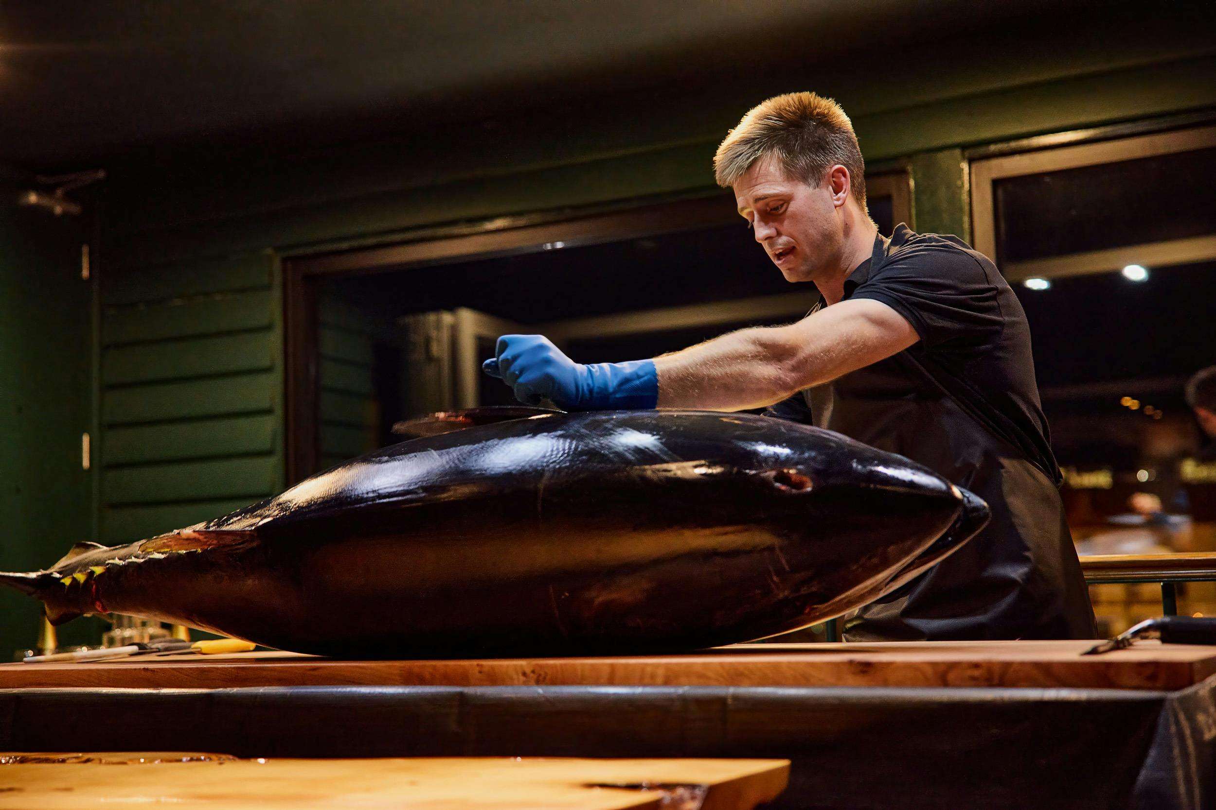 A whole southern bluefin tuna on a carving board, with fisher Jock Mure about to carve the fish.