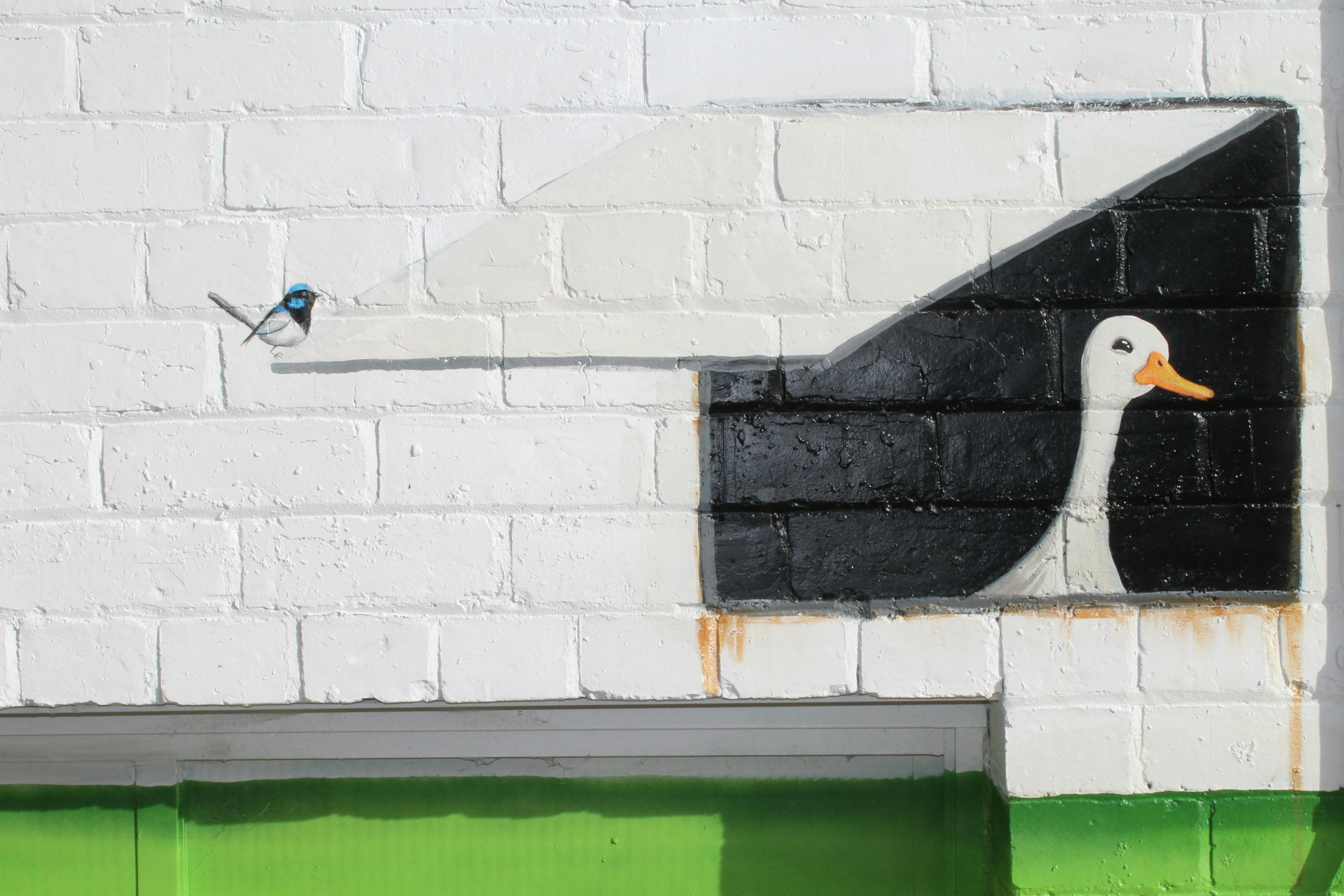 COVID19 Street Art - "Stay the Duck at Home" mural