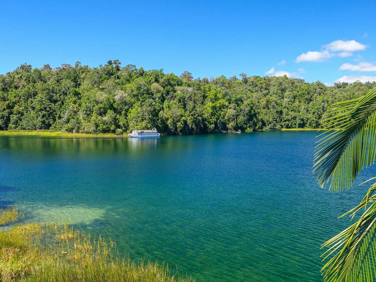 Lake Barrine Lake Barrine