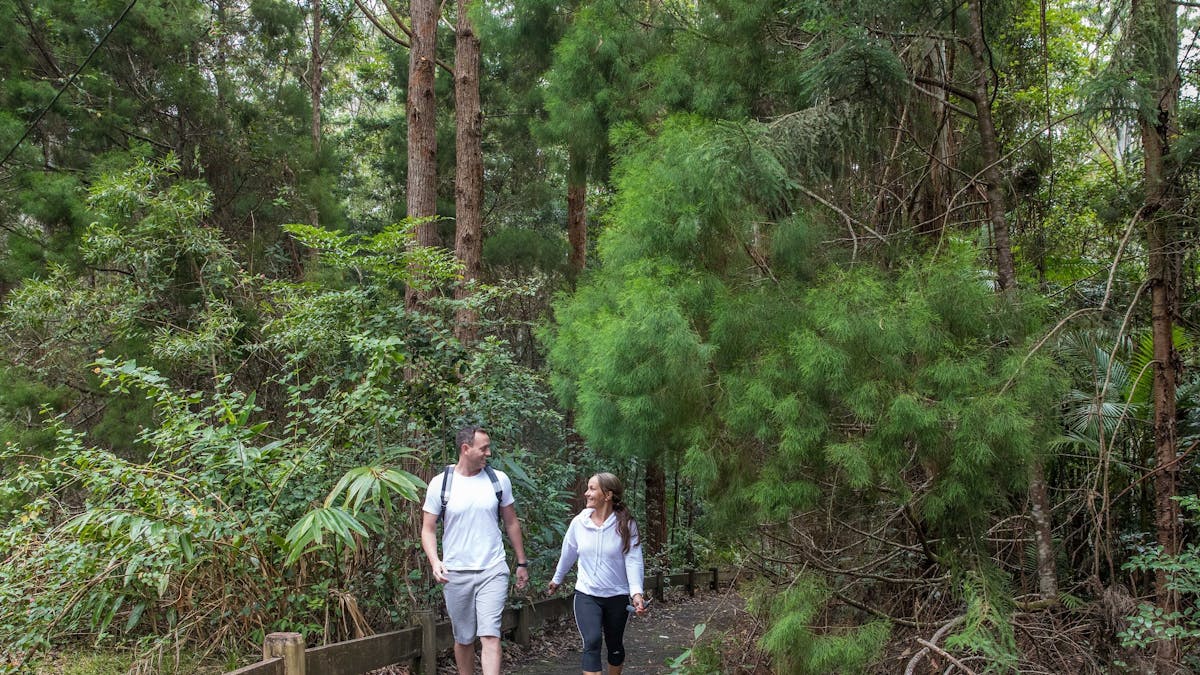 Somerset_Trail_Daguilar_national_park_MtMee_walking_dayboro_moreton_bay_region