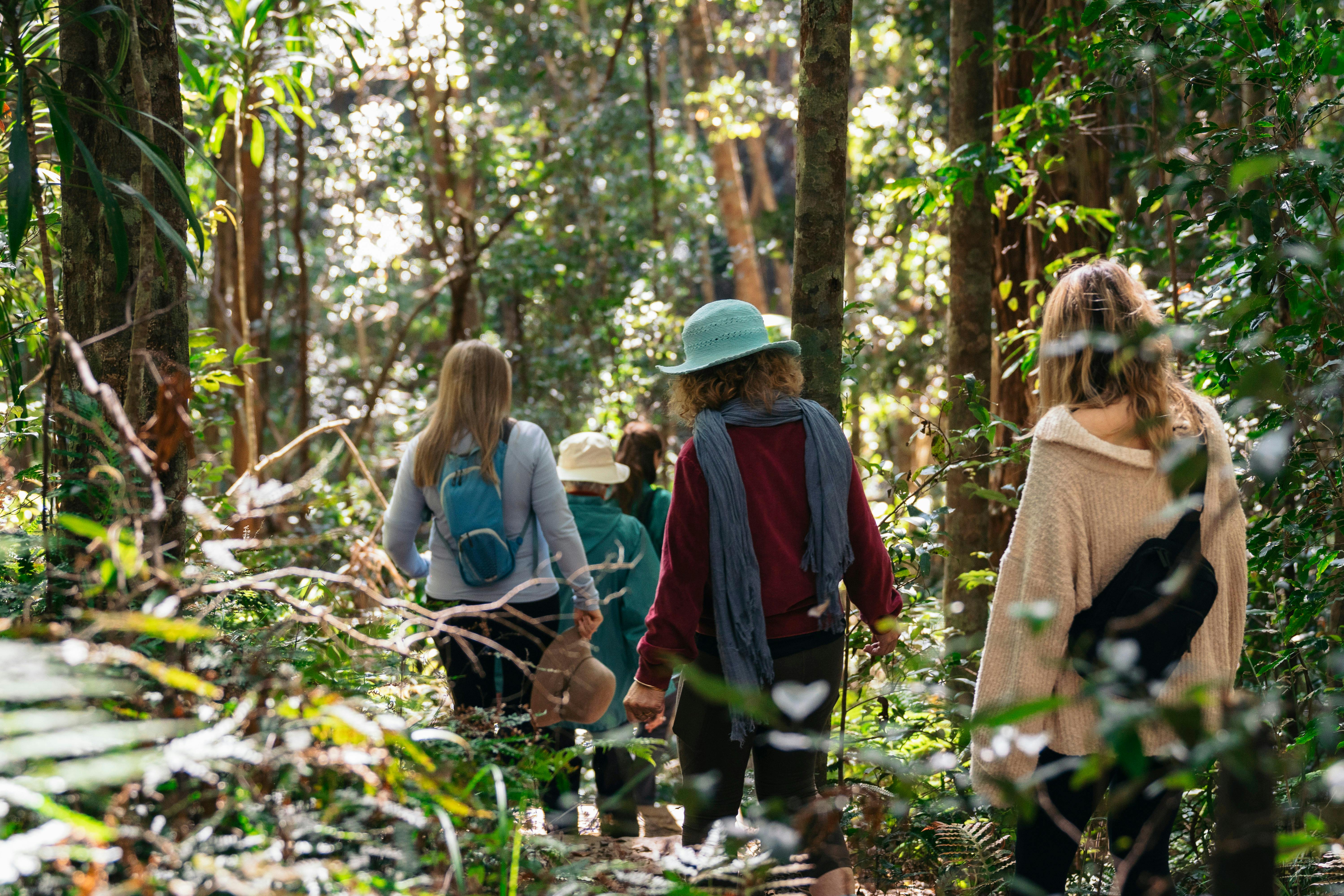 Sunshine Coast Nature & Forest Bathing private walking tours