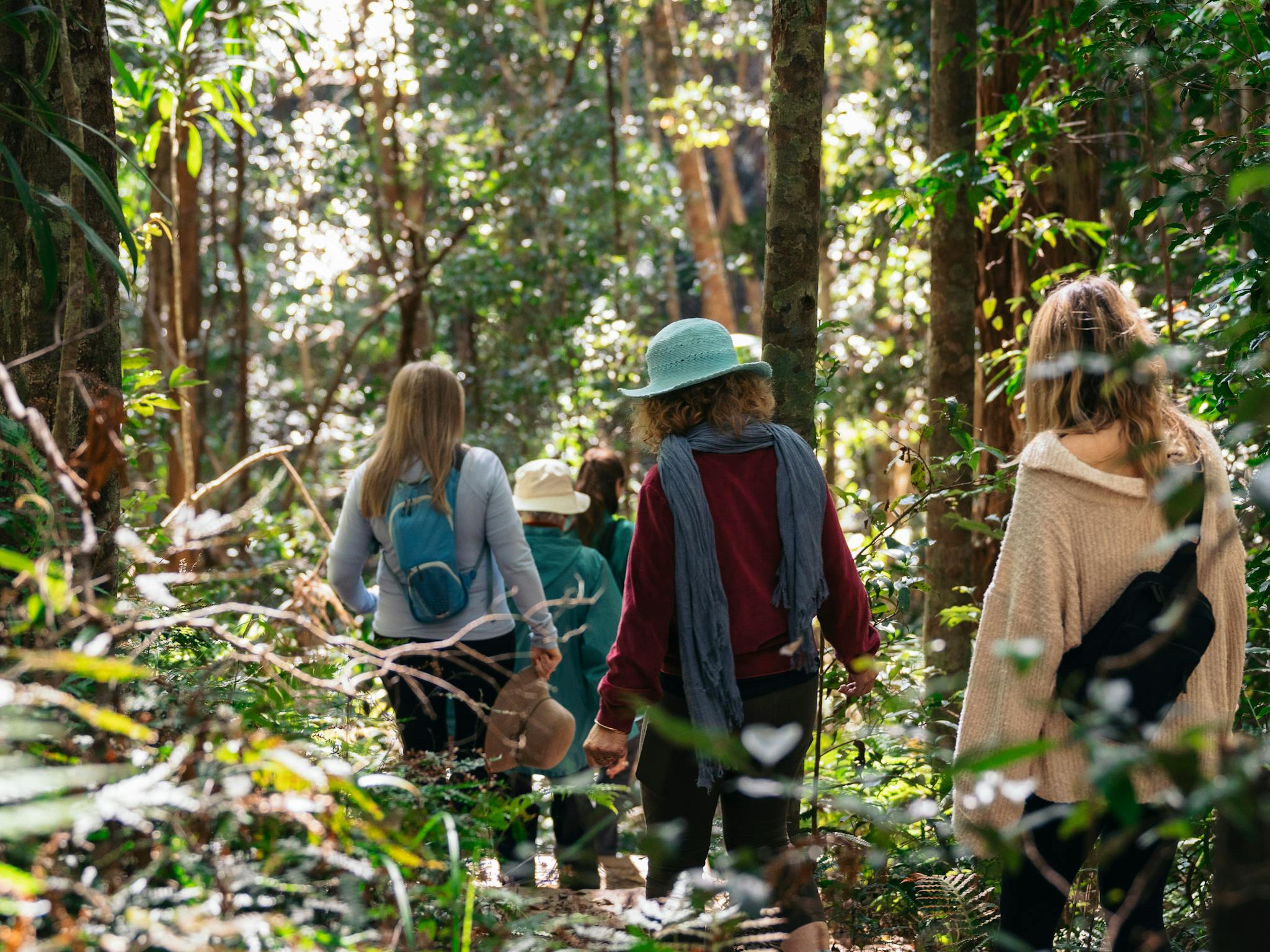 Women walking in forest Women walking in forest